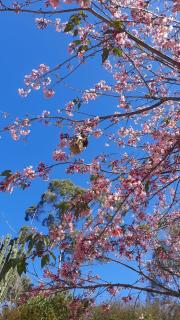 Refúgio Boa Vista - 3