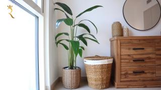 Cozy 1BR Apartment Yas Island - Abu Dhabi - 4
