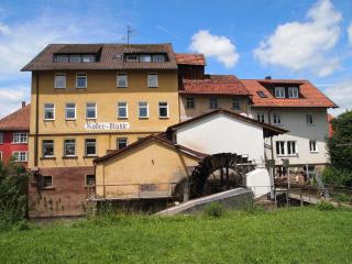 Apartment 175 qm SCHWANENNEST, in der romantischen Rödermühle an der Fränkischen Saale in Deutschlands Mitte, 8 km zur A7 - 7