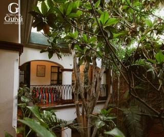 CASA GUIVÁ - Città di Oaxaca - 8