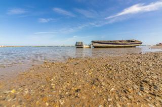 In Focus - Titchwell - 8