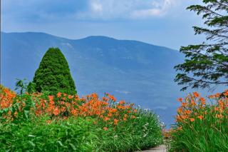Switzerland Inn - Spruce Pine - 8