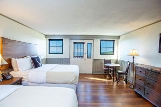 Switzerland Inn - Spruce Pine - 2