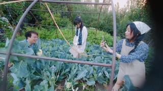 Summer and winter homestay Turtuk Youl - Turtok - 8