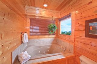 Endless Views (#54) Holiday home - Sevierville - 2