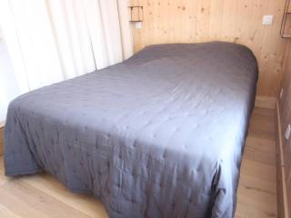 Centre-ville Bagnères-de-Luchon T2 avec balcon, WiFi, animaux admis - FR-1-313-233 - Luchon - 7