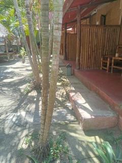 Sasak Lombok Bungalow - Kuta Lombok - 2