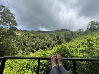 Cannelle Hill Cabanas - 2