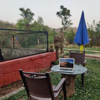 The Nest Farmstay - Paror - 7