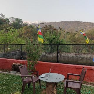 The Nest Farmstay - 3