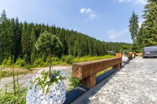 Шишка - Bukovel - 6