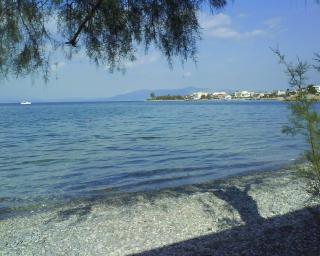 MIXASsTUDIO - Kalamos - 1