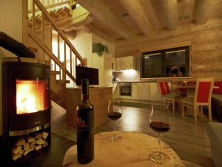 Cosy, modern Canadian wooden chalet - Ladis - 2