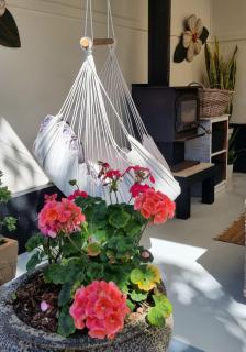 "Iluka Stays" Cosy and Quaint Beach Pad in the heart of Iluka - 5