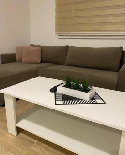 Apartmani,,Drljaca,, 2 - Soko Banja - 5