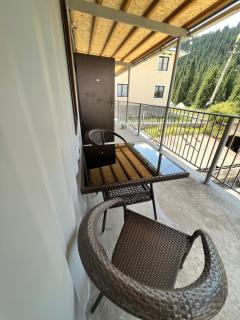 Kolsay Tanbalytas Wood panel house - 5