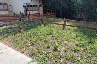 Appartamento con giardino e garage privati, accesso diretto al garage - 5