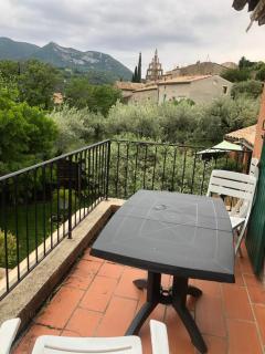 appartement centre ville pleine nature - Nyons - 1
