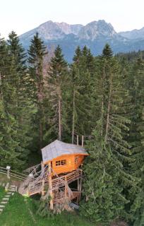 Guesthouse Planinarski dom Neviđen'o - Žabljak - 9