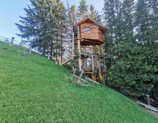 Guesthouse Planinarski dom Neviđen'o - Žabljak - 5