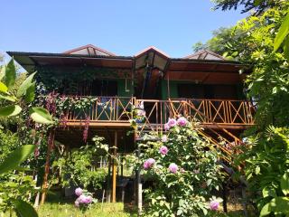 Mist Valley Wildlife Resort - Masinagudi - 3