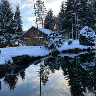 VILLA am Paulsberg mit Sauna - V4 - Braunlage - 6