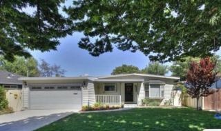 Cozy House Nested Around Trees A - San Jose - 0