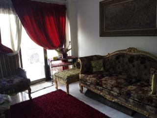 شقة عالنيل مباشرتا - Cairo - 1