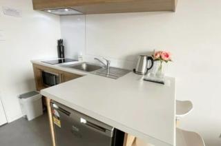 Cozy Studio with Heat pump & parking near Hospital - Hamilton - 6