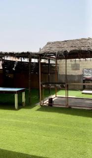 Beach Chalet - 8 - Ras al Hadd - 3
