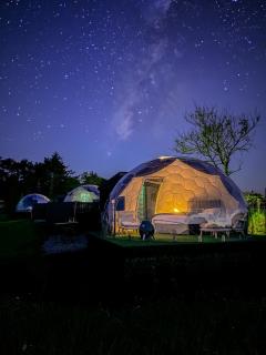 Glamping Domes - 9