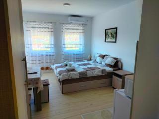 Studio Dimitrije 15 - Sokobanja - 5