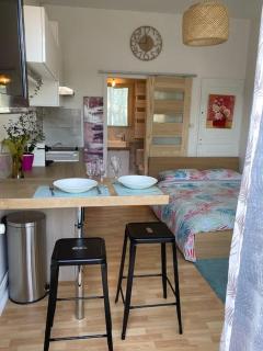 Le cosy Tassin - rez de jardin - Tassin-la-Demi-Lune - 0