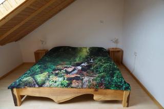 Märchenhafte Ferienwohnung mit Balkon - zwischen Schweiz und Südschwarzwald - 1