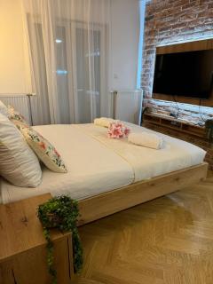 Viktor Lux Apartmani 4 - Sokobanja - 8