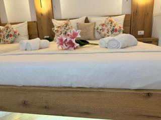 Viktor Lux Apartmani 4 - Sokobanja - 6