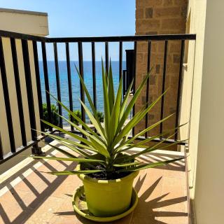 Alegria Alghero - Alghero - 3