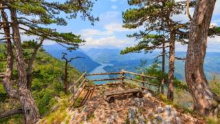Apartman SARA Bajina Basta - Bajina Bašta - 7