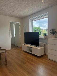 Central Living Billund - By Viktorija - Billund - 5