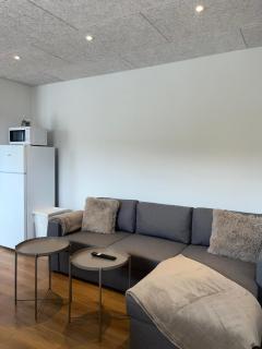 Central Living Billund - By Viktorija - Billund - 7