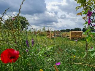 Bell Tent in een Voedselbos - Nederweert-Eind - 1