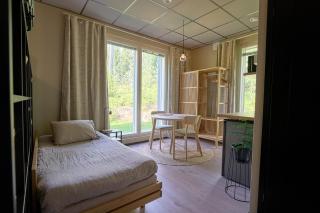 Huoneisto elokuvateatterilla Studio apartment with the movie theater - Lahti - 9