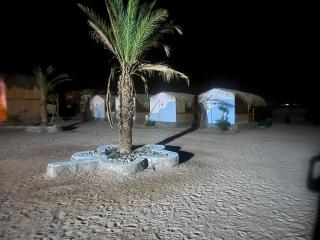The Bedouin Life with Eid Ali - Nuweiba - 2