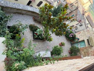 Il nido dell'upupa - Montepulciano - 5