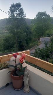 le vallon de bargemon - Bargemon - 4