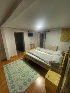 Chalet Motilor Straja - Lupeni - 3