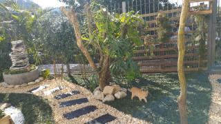 Residência bem localizada em Bento Gonçalves - Bento Gonçalves - 7