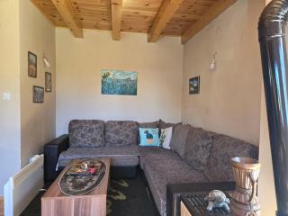 Enchanting chalet amidst impressive nature - Žabljak - 1