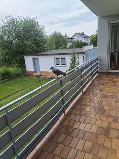 Ferienwohnung - Monteurwohnung - Schwandorf - 9