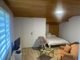 Studio Villard de Lans - Vercors - Villard-de-Lans - 4